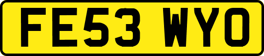 FE53WYO
