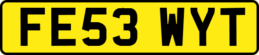 FE53WYT