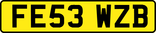 FE53WZB