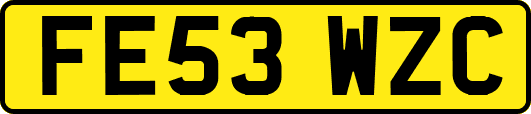 FE53WZC