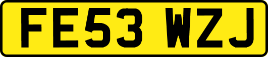 FE53WZJ