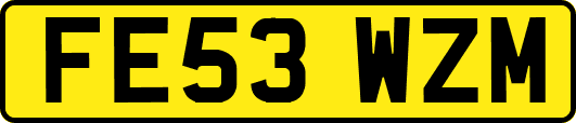 FE53WZM