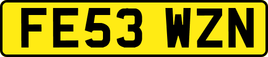 FE53WZN
