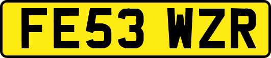 FE53WZR
