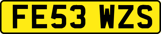 FE53WZS