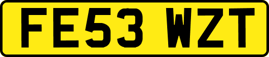 FE53WZT