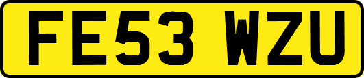 FE53WZU