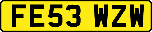FE53WZW