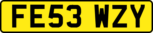 FE53WZY