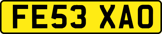 FE53XAO