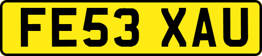 FE53XAU