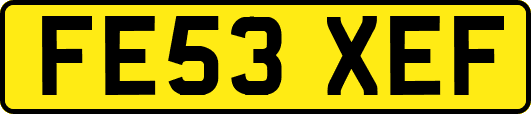 FE53XEF