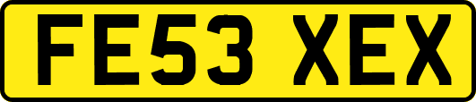 FE53XEX