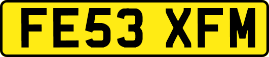 FE53XFM