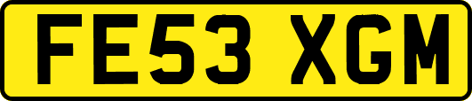 FE53XGM