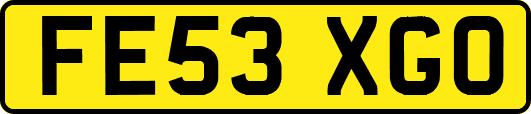 FE53XGO