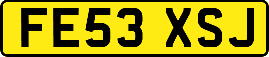 FE53XSJ