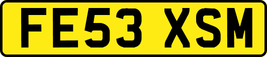 FE53XSM
