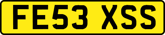 FE53XSS