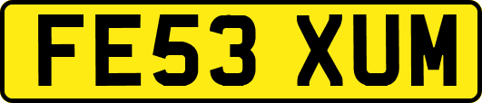FE53XUM