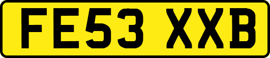 FE53XXB