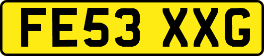 FE53XXG