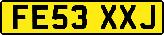 FE53XXJ