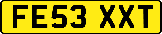 FE53XXT