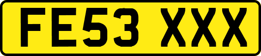 FE53XXX