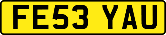 FE53YAU