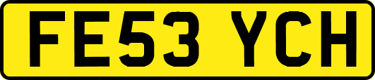 FE53YCH