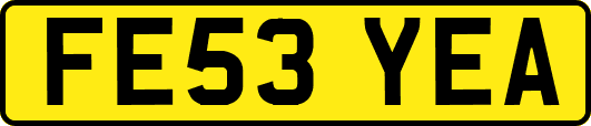 FE53YEA