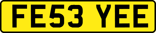 FE53YEE