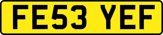 FE53YEF
