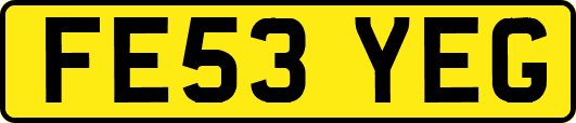 FE53YEG