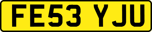 FE53YJU