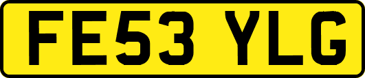 FE53YLG