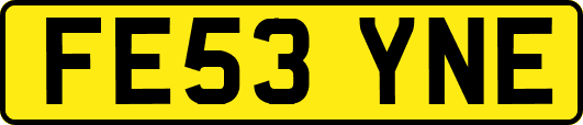 FE53YNE