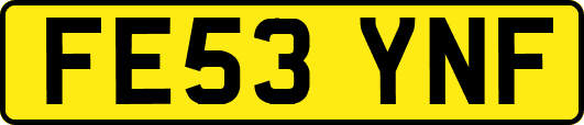 FE53YNF