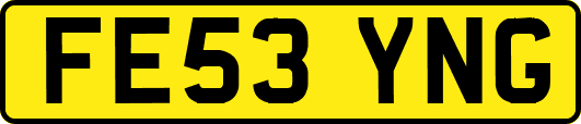 FE53YNG