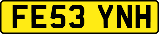 FE53YNH