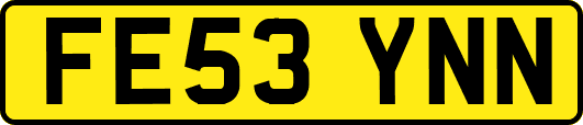 FE53YNN