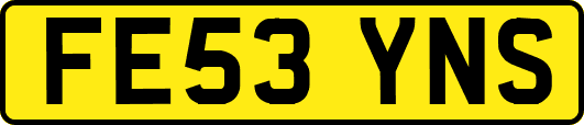 FE53YNS