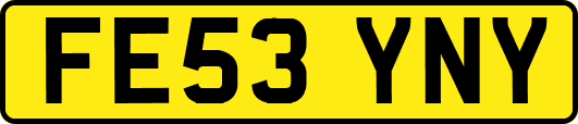 FE53YNY