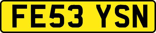FE53YSN