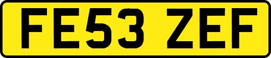 FE53ZEF