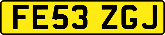 FE53ZGJ