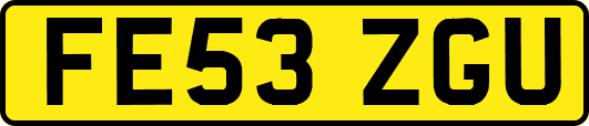 FE53ZGU