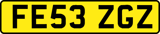 FE53ZGZ