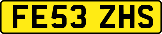 FE53ZHS